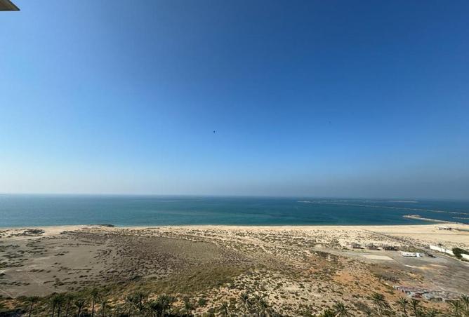 53575051 - Property Image 2