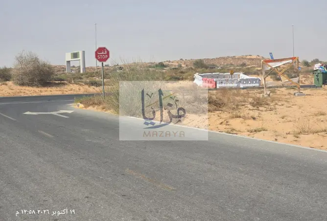 161427292 - Property Image 3