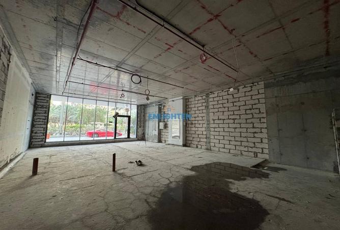 58170201 - Property Image 2