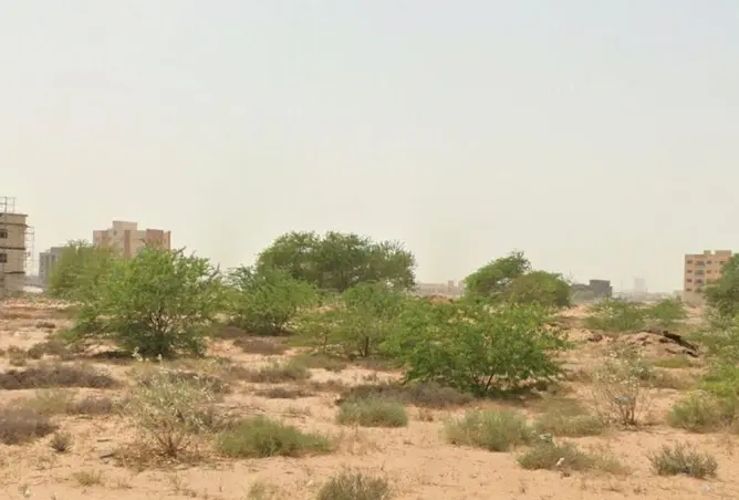 16251478 - صورة العقار 2