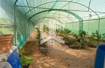 Farm - Studio for sale in Al Rahba - Abu Dhabi