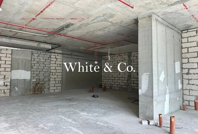 149557146 - Property Image 2