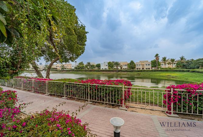 16136478 - Property Image 3