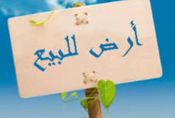 16164859 - Property Main Image