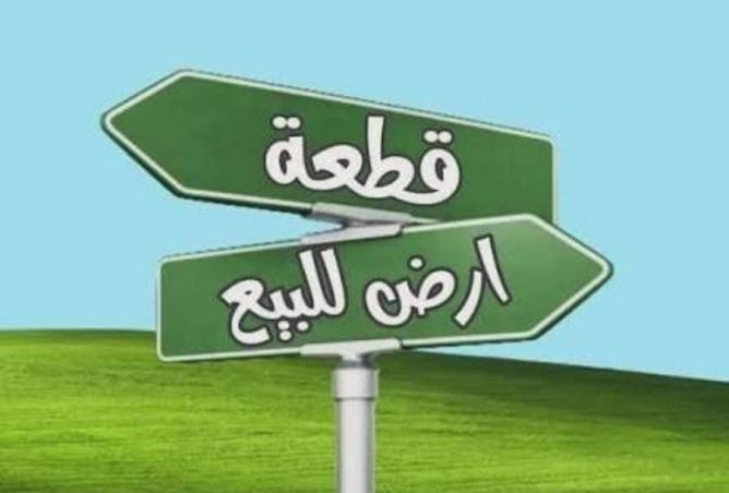 16164859 - Property Image 3