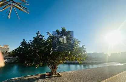 Townhouse - 4 Bedrooms - 4 Bathrooms for rent in The Townhouses at Al Hamra Village - Al Hamra Village - Ras Al Khaimah