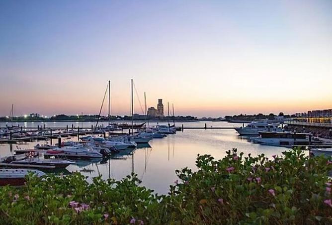 54931672 - صورة العقار 2