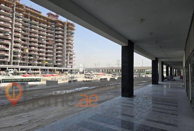 112748315 - Property Image 3