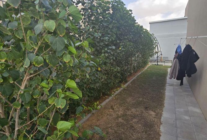 16160973 - صورة العقار 3