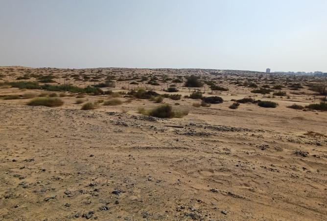136120133 - صورة العقار 3
