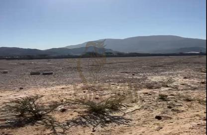 Farm - Studio for rent in Ras Al Khaimah Creek - Ras Al Khaimah