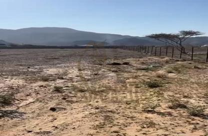 Farm - Studio for rent in Ras Al Khaimah Creek - Ras Al Khaimah