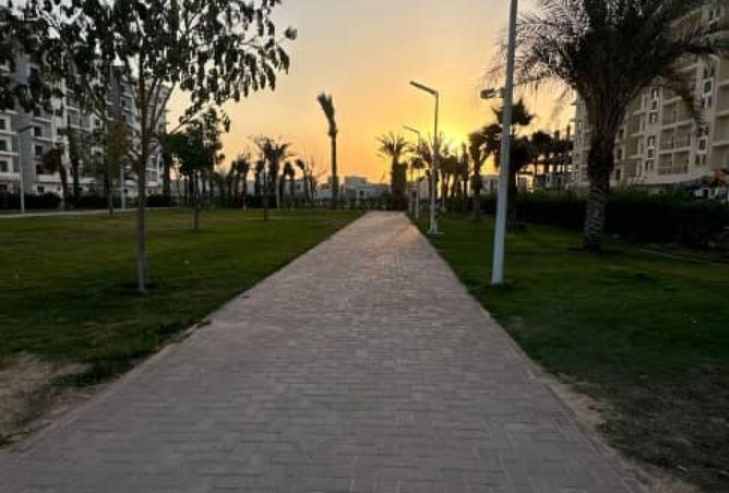 67844895 - صورة العقار 3