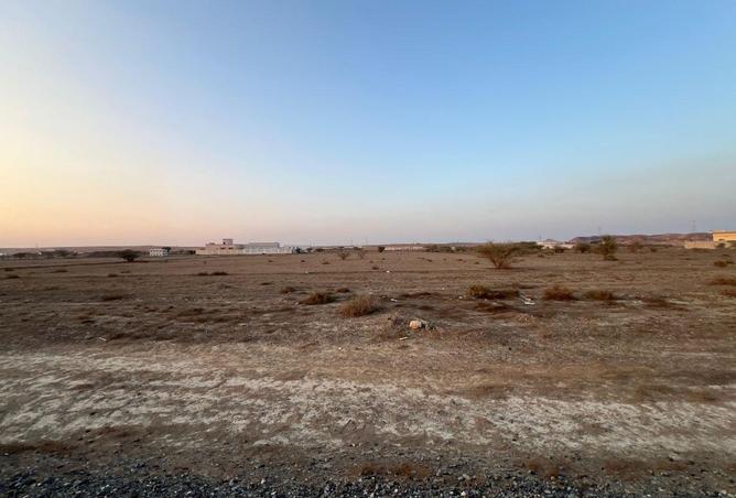 16214597 - Property Image 3