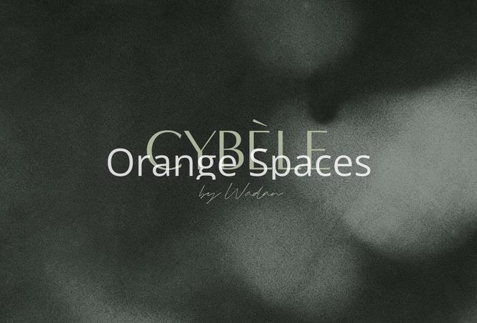 15955904 - صورة العقار 2