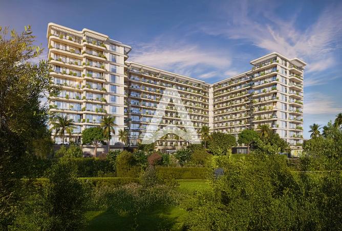 56529571 - Property Image 3