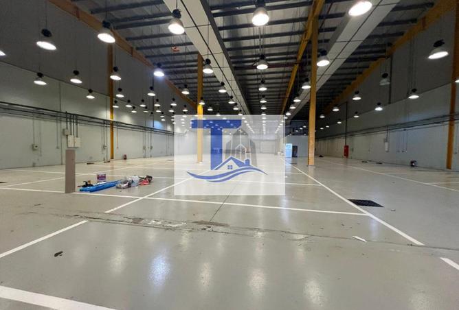 80278086 - صورة العقار 3