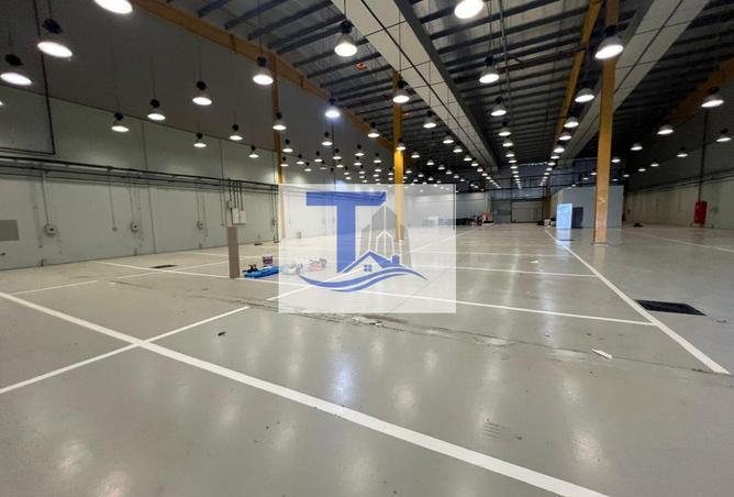 80278086 - صورة العقار 2