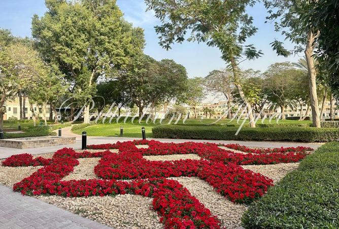 16317607 - صورة العقار 3