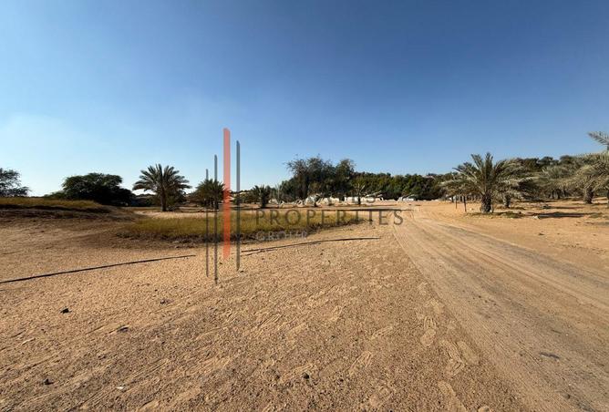 16185335 - Property Image 3