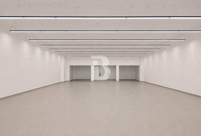 132964890 - Property Main Image