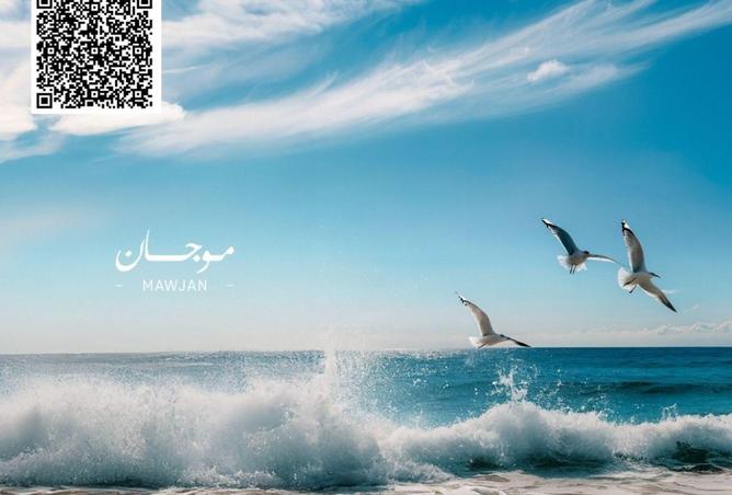 16235031 - Property Image 2