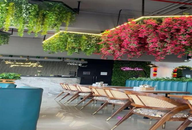 16276855 - Property Image 3