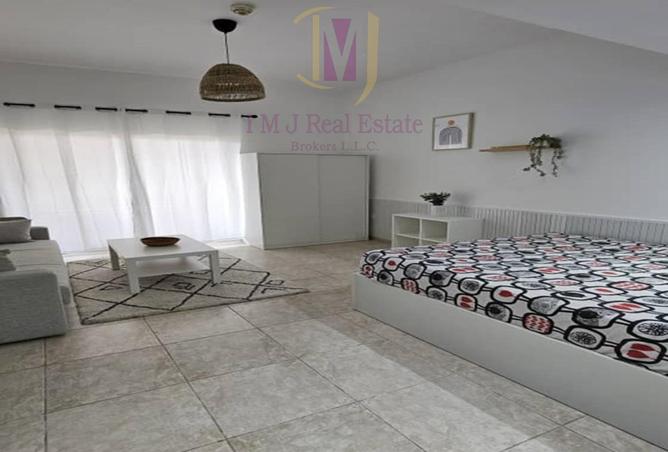 16123230 - Property Image 3