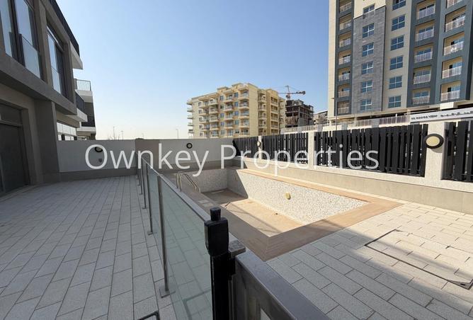 53564078 - Property Image 2