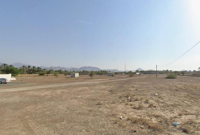 81521431 - صورة العقار 2