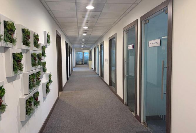 16156922 - صورة العقار 3