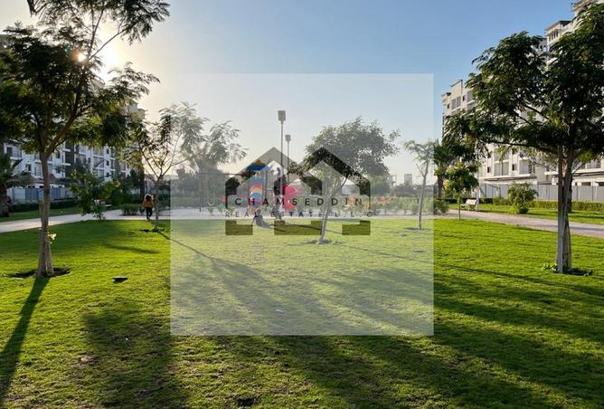 124721309 - صورة العقار 2