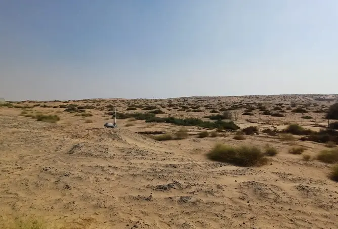 155100183 - صورة العقار 2
