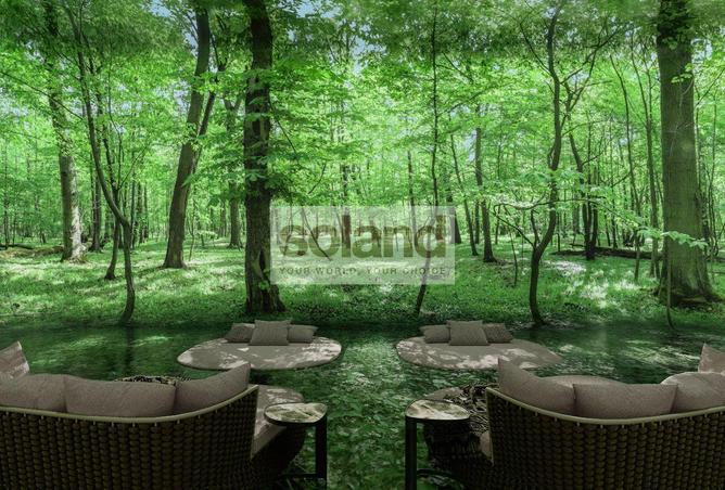 53984721 - صورة العقار 2