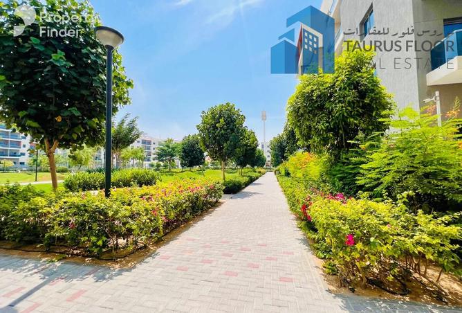 16265282 - Property Image 2