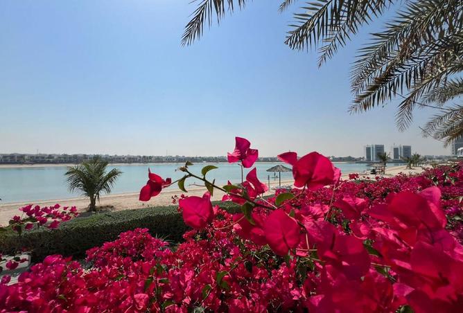 57768641 - صورة العقار 2