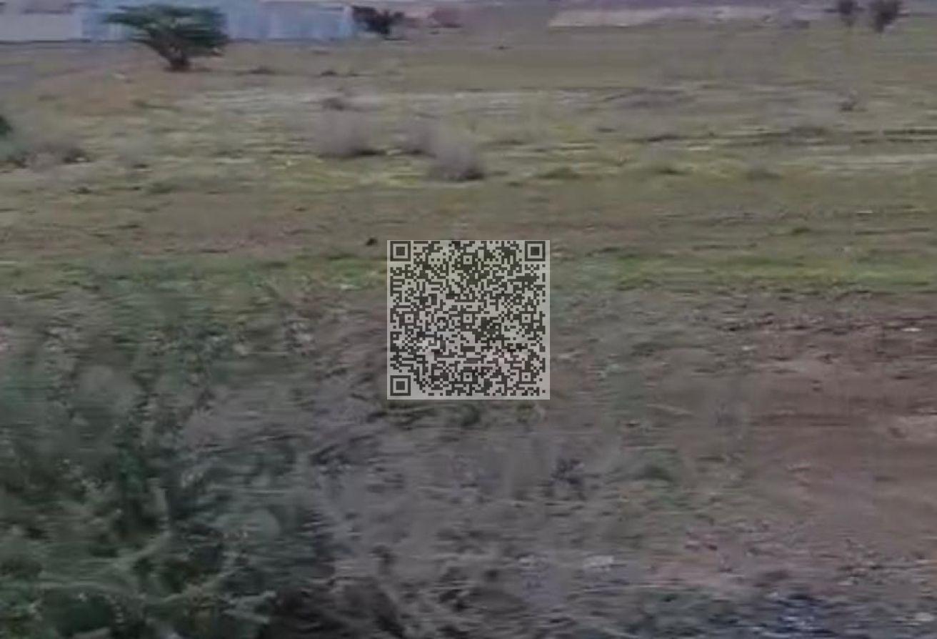81925431 - الصورة الرئيسية للعقار