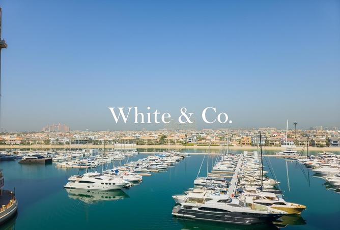 76961699 - صورة العقار 3