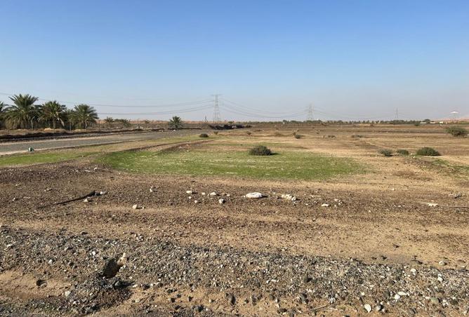 16008291 - صورة العقار 3