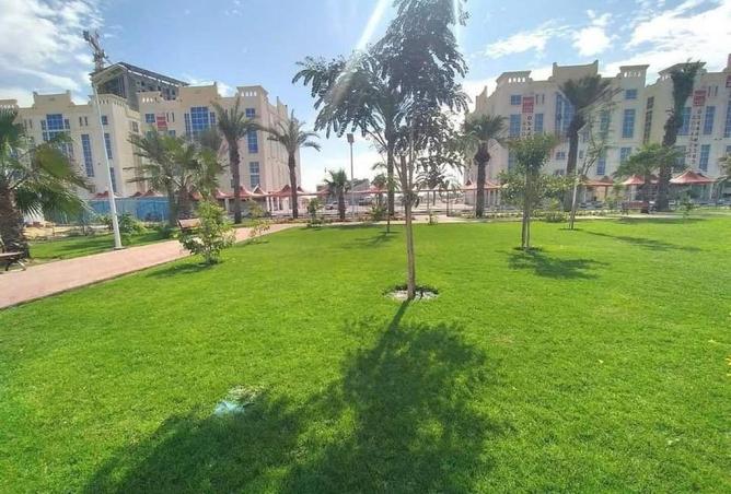 16268537 - صورة العقار 3