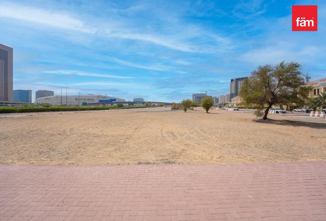 133406435 - Property Image 3