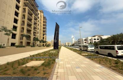 شقة - 1 - 1 للايجار في جديل 3 - مدينة جميرا ليفينج - أم سقيم 3 - أم سقيم - دبي