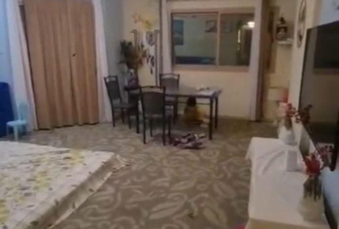 81535330 - صورة العقار 3