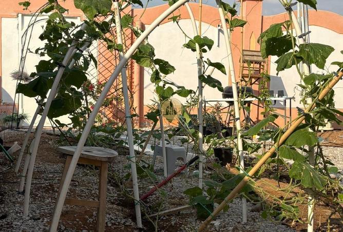 78580720 - Property Image 3