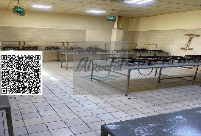 54002497 - صورة العقار 3