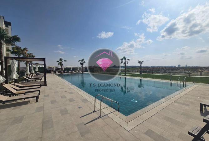 16221538 - Property Image 3