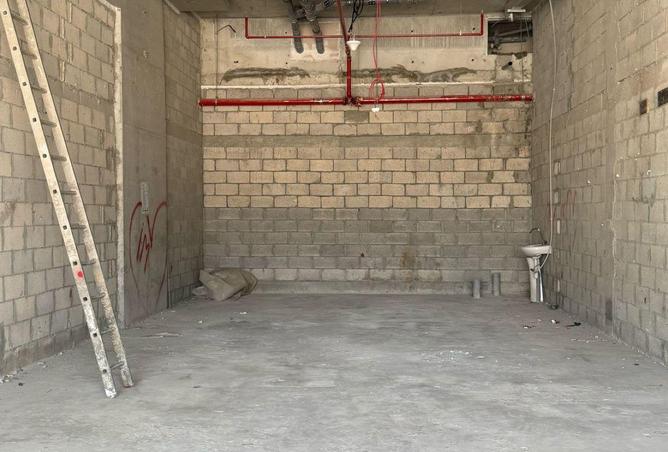 81124804 - Property Image 3