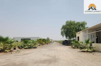 Farm - Studio for sale in Manama - Ajman