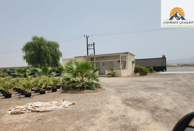 154616766 - Property Image 3