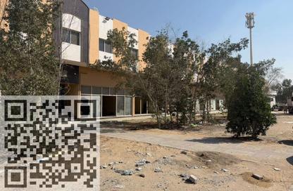سكن عمال - استوديو - 8 حمامات للايجار في الجرف 3 - الجرف - عجمان وسط المدينة - عجمان
